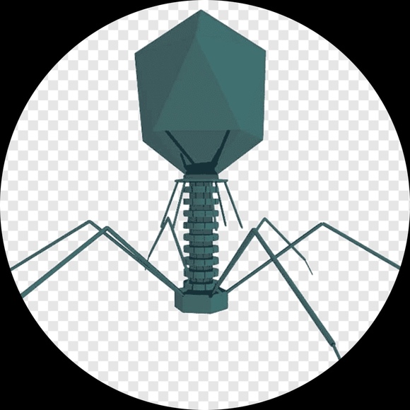 brunoledus